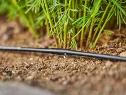 "GARDENA" 德國3/16"x15m地面有孔滴灌(30cm孔距-1.6L/h流量)(4卷/盒)-[1362]