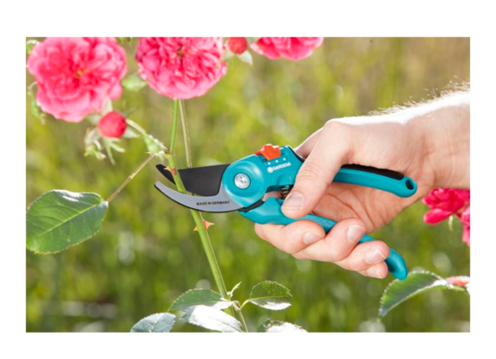 "GARDENA" 德國修枝剪B/S-M(切割直徑22mm)(翠綠樹枝用)