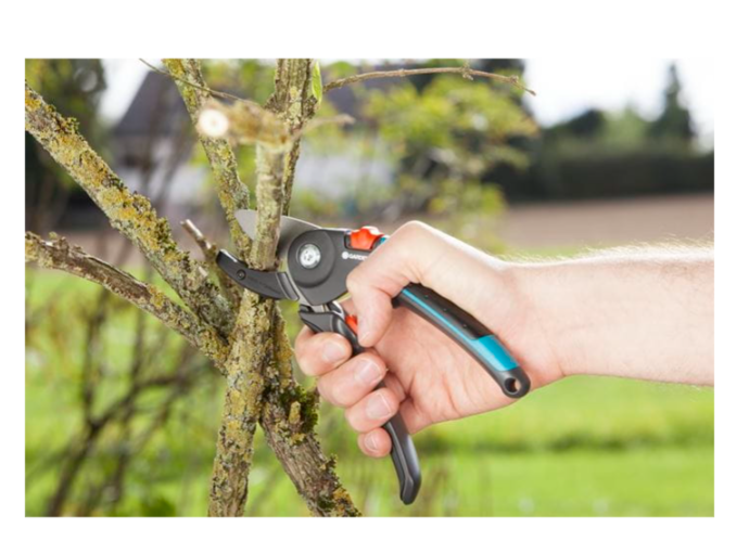 "GARDENA" 德國修枝剪A-M(切割直徑23mm)(幹硬樹枝用)(內置式彈簧)
