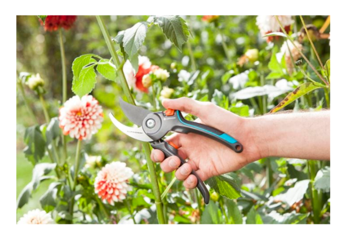 "GARDENA" 德國修枝剪B-M (切割直徑24mm) (翠綠樹枝用) (內置式彈簧)