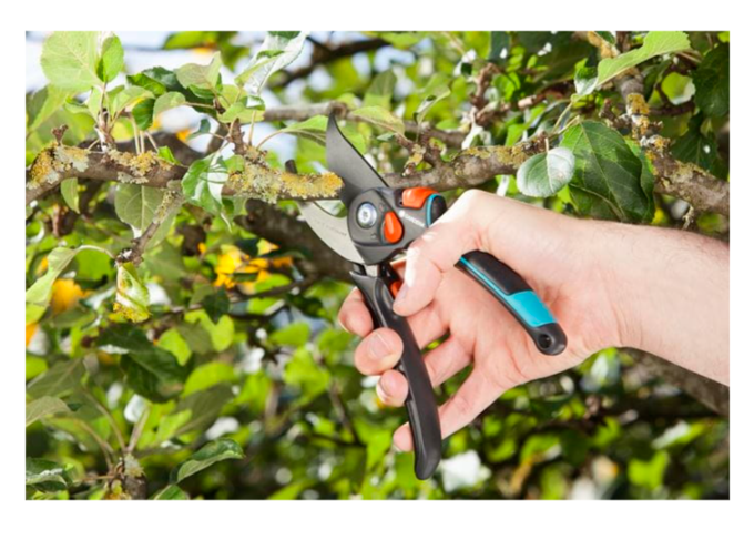 "GARDENA" 德國修枝剪B/S-XL(切割直徑24mm)(翠綠樹枝用)(內置式彈簧)