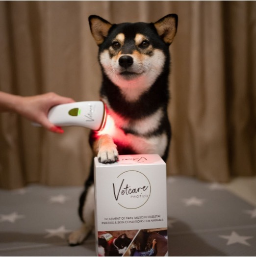 Photizo Vetcare 寵物護理光療儀