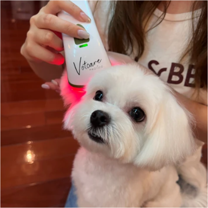 Photizo Vetcare 寵物護理光療儀