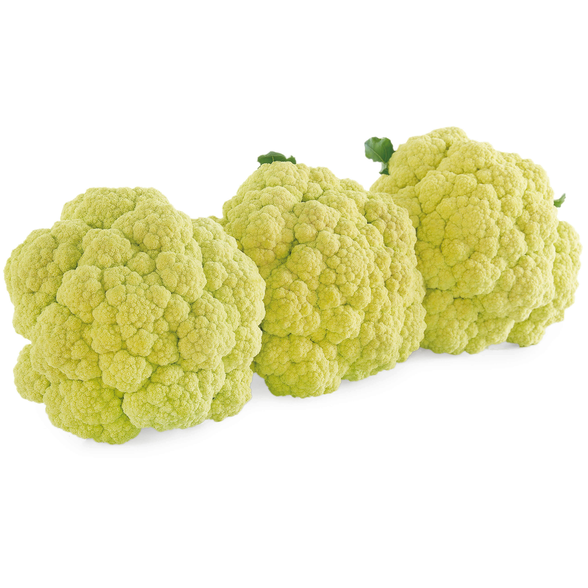 精選蔬果種子HV-347清白花菜(夏花)