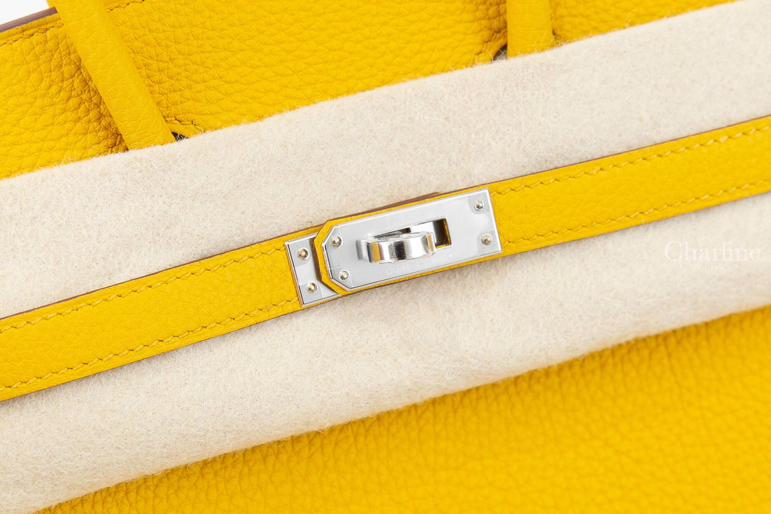 Hermès Birkin 25cm 9D Jaune Amber Togo 琥珀黃銀釦鉑金包