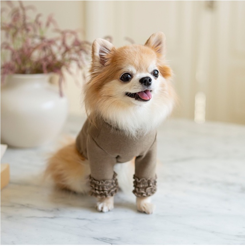 OPAAAP 蕾絲長袖高領衫