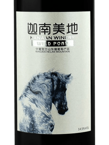 Kanaan Wild Pony Ningxia Helan Mountain 2021