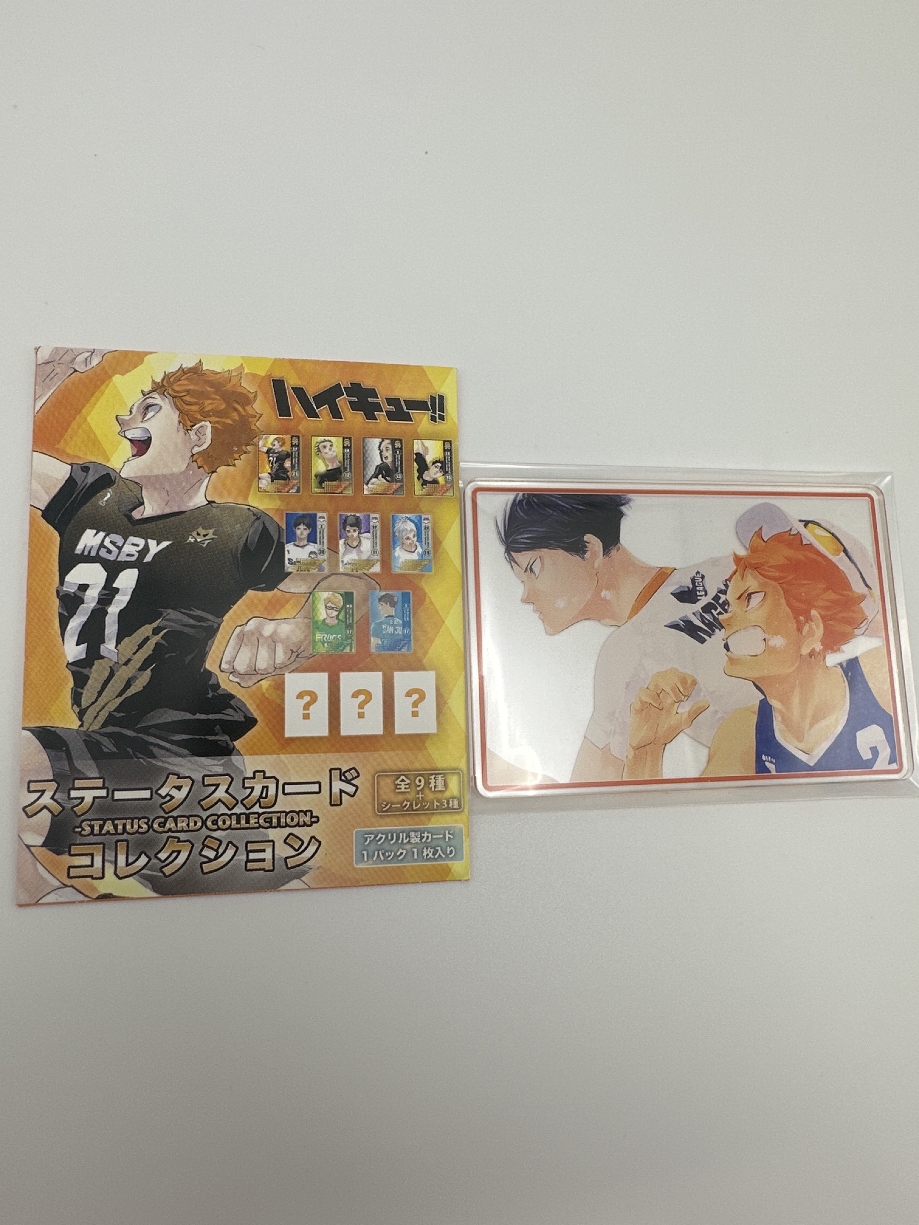排球少年 日向翔陽 影山飛雄 日影 隱藏版 亞加力卡