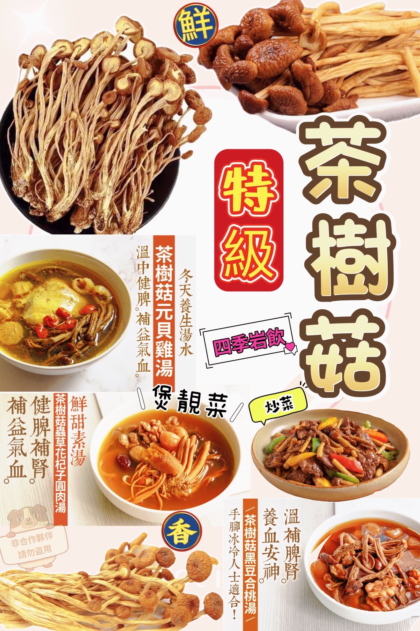 養生菇菌之茶樹菇