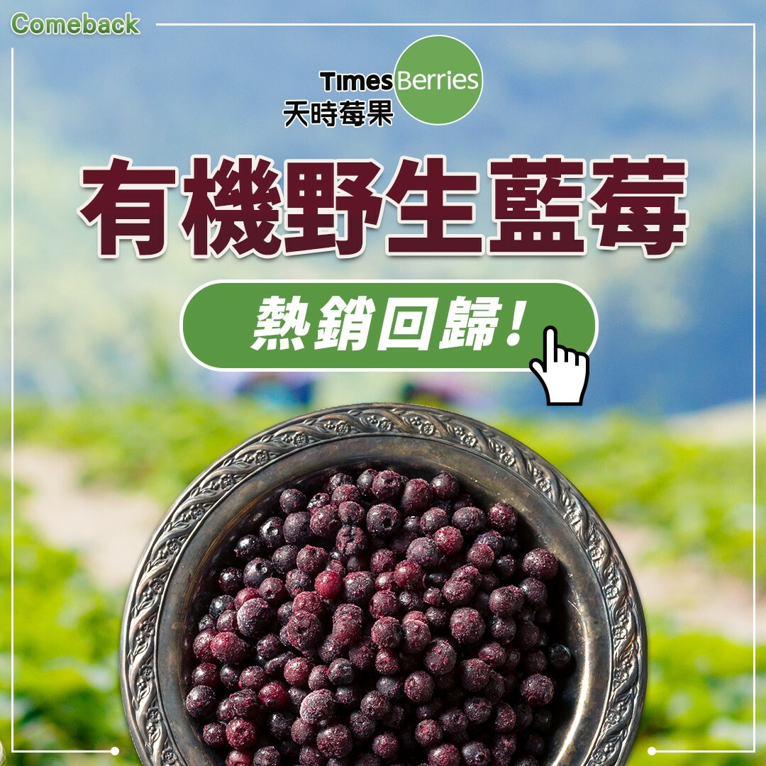 有機野生藍莓熱銷回歸