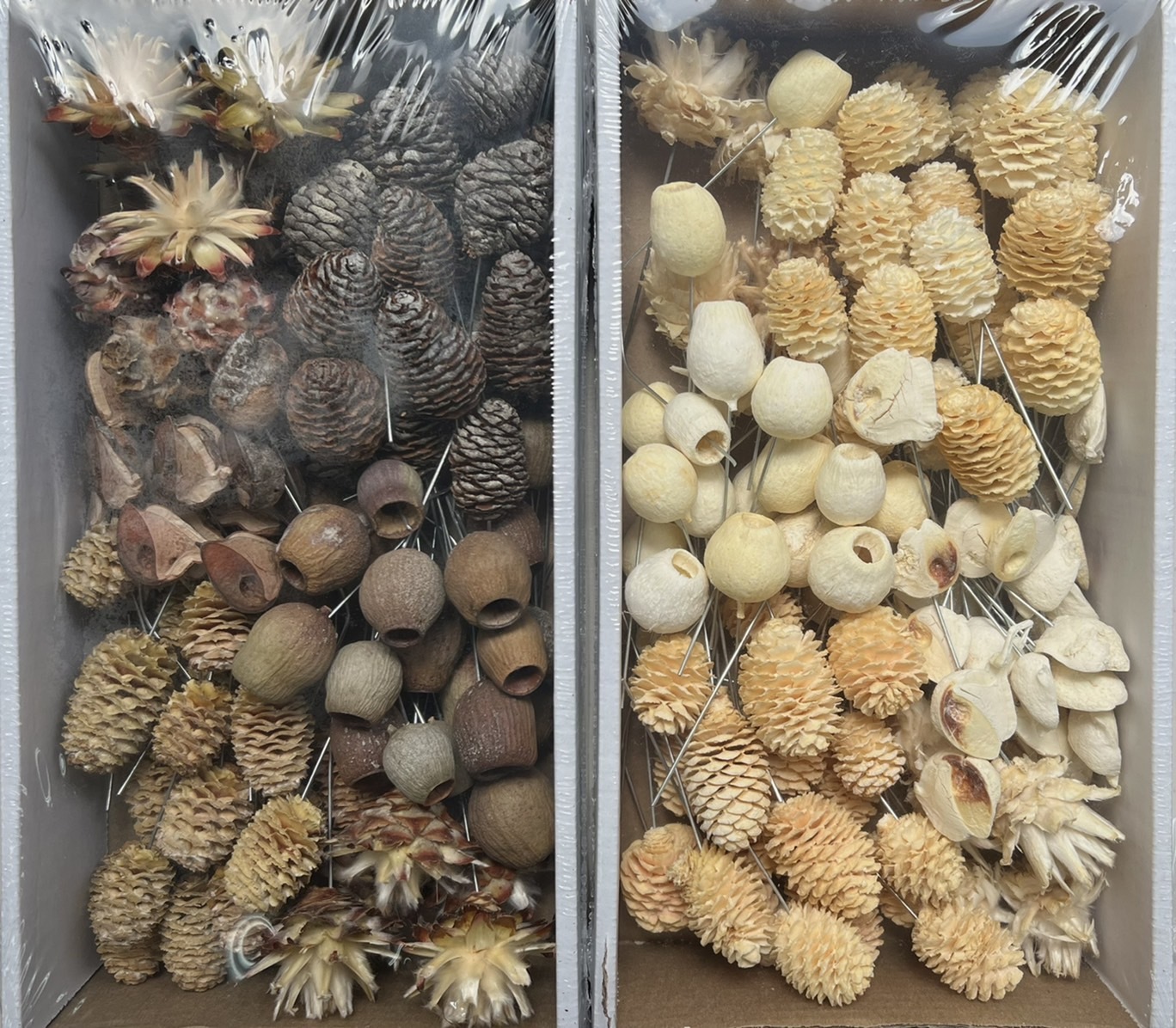 南非綜合果實盒