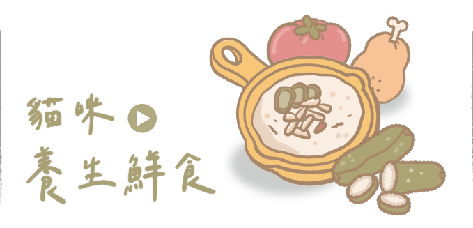 貓鮮食,貓主食,貓罐頭,貓咪