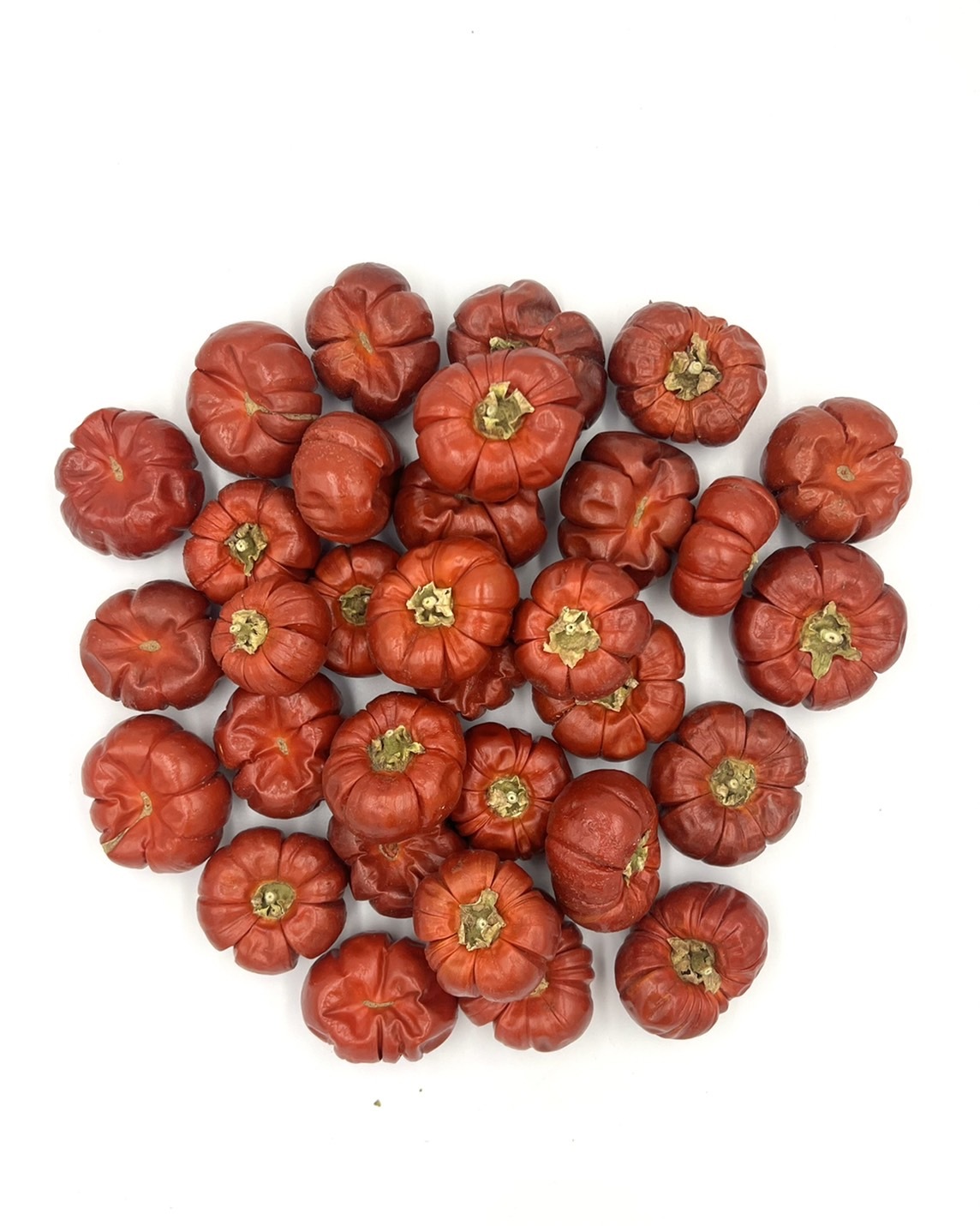 乾燥南瓜(原裝)