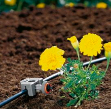 "GARDENA" 德國3/16"(4.6mm)滴灌喉喉釘(插地式)(10包/盒)(3個/包)-[8327]