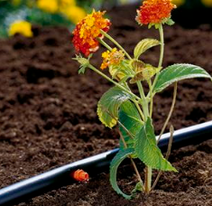 "GARDENA" 德國2L/h流量精準灌溉滴頭(清潔針x1)(10包/盒)(25個/包)-[1340]