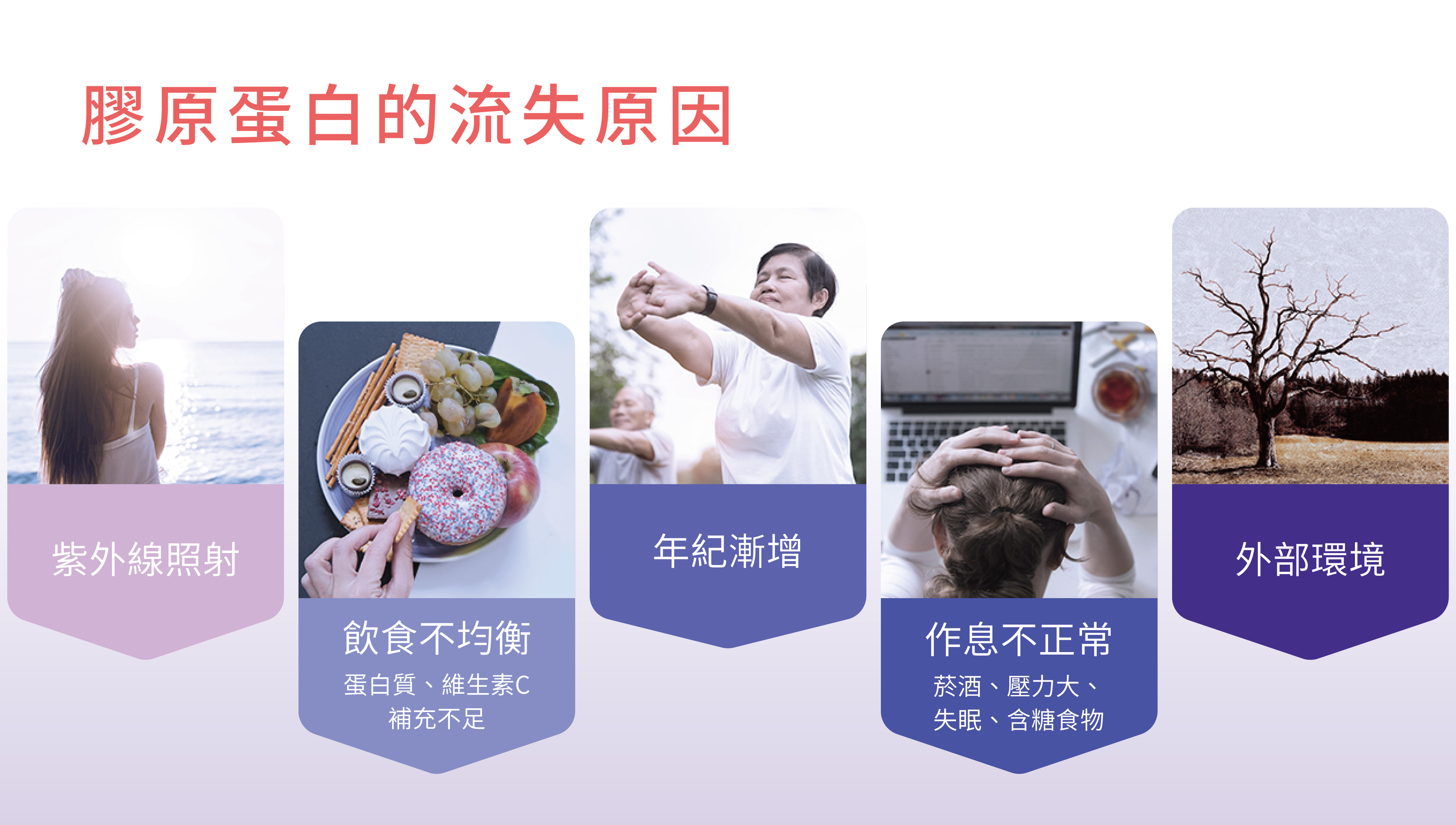 膠原蛋白,膠原蛋白流失,膠原胜肽,維生素Ｃ,海洋深層水,台肥,台海生技