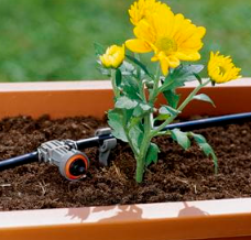 "GARDENA" 德國2L/h流量精準灌溉穩壓連接滴頭(平均水壓至0.5-4bar)(管末塞x1)(斜坡/垂直種植)(10包/盒)(10個/包)-[8311]