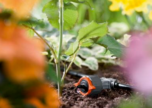 "GARDENA" 德國1-8L/h流量精準灌溉可調穩壓連接滴頭(平均水壓至1-4bar)(管末塞x1)(斜坡/垂直種植)(10包/盒)(5個/包)-[8317]