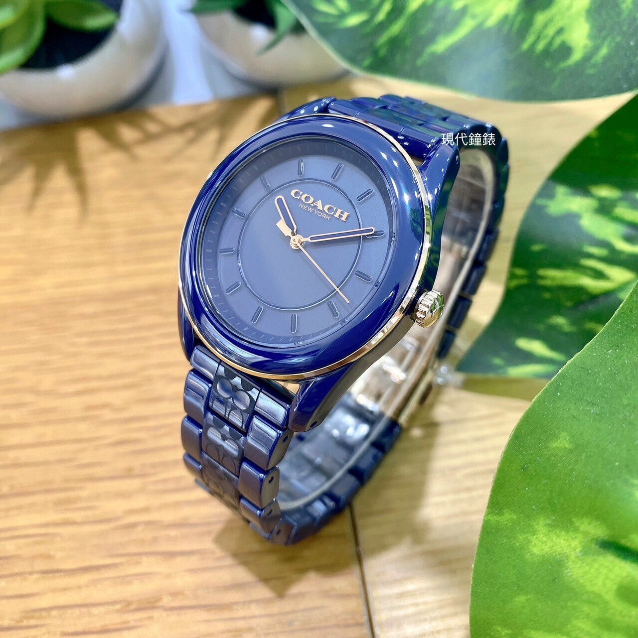 【COACH】經典LOGO陶瓷女錶 CO14503773 38mm 現代鐘錶