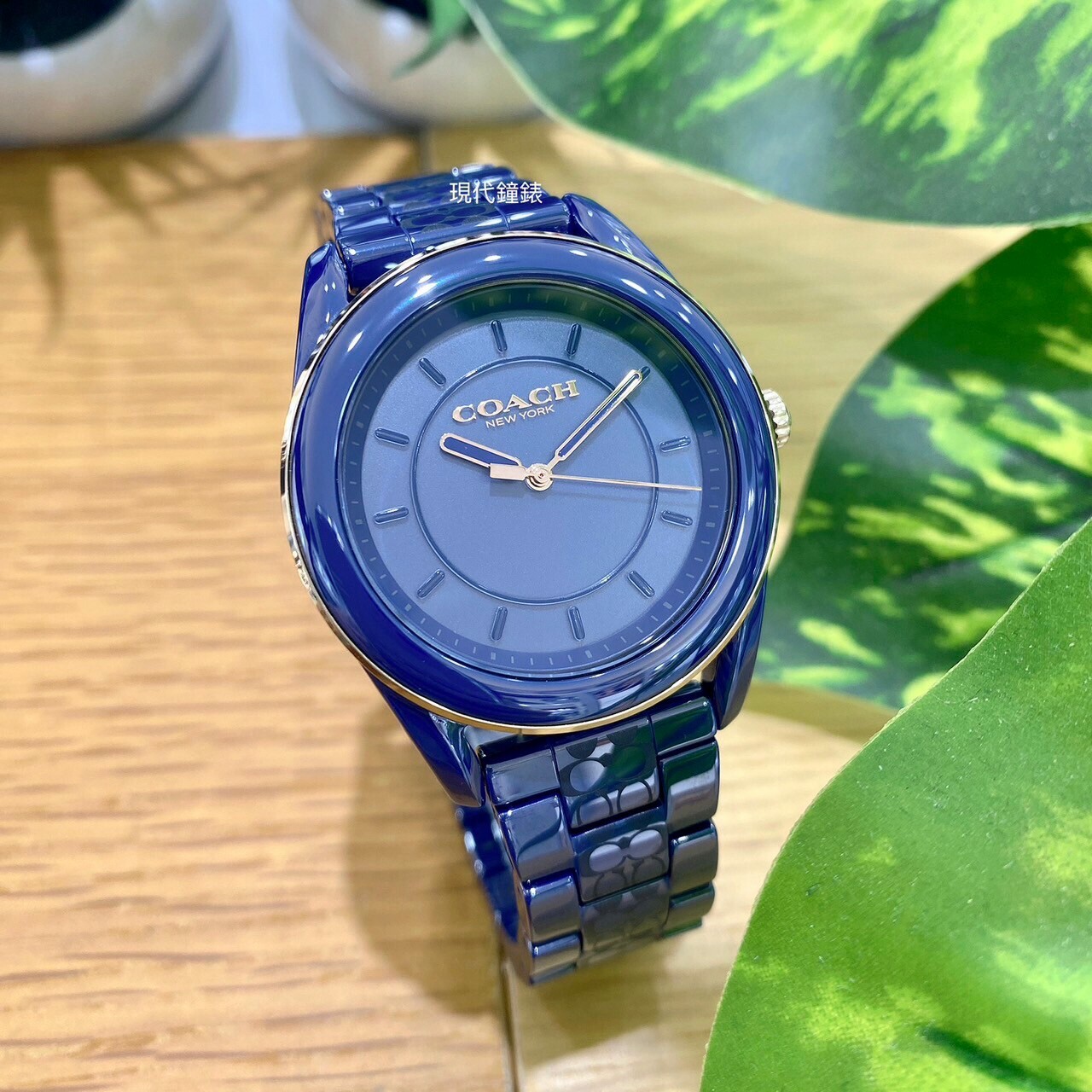 【COACH】經典LOGO陶瓷女錶 CO14503773 38mm 現代鐘錶