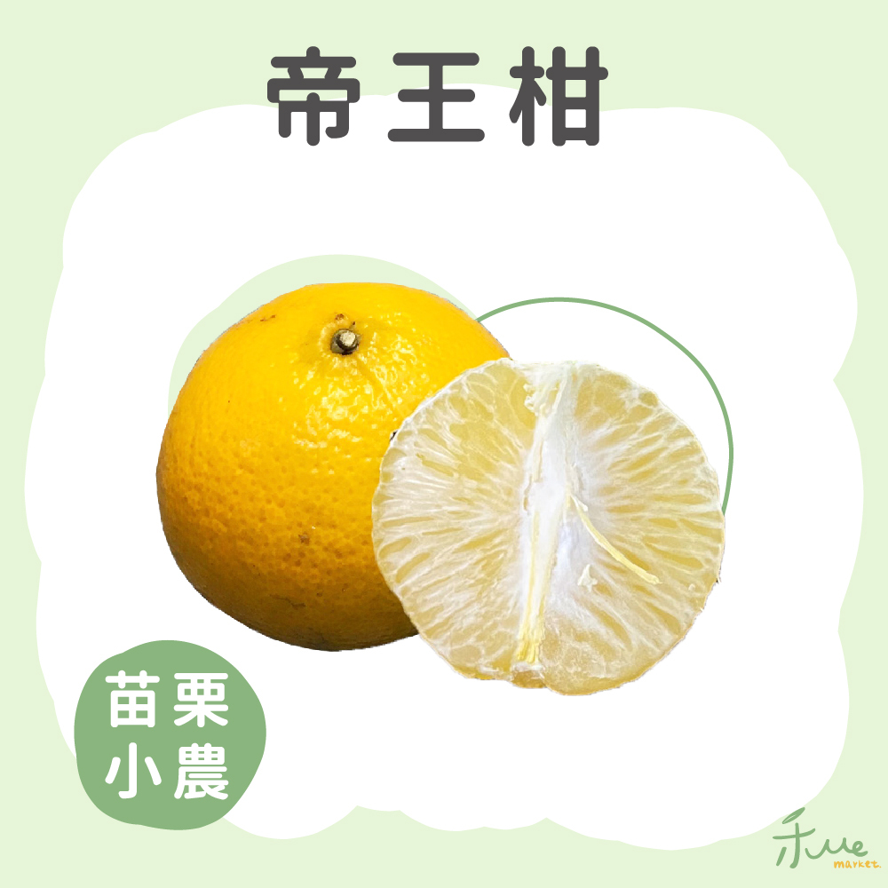 【苗栗】帝王柑