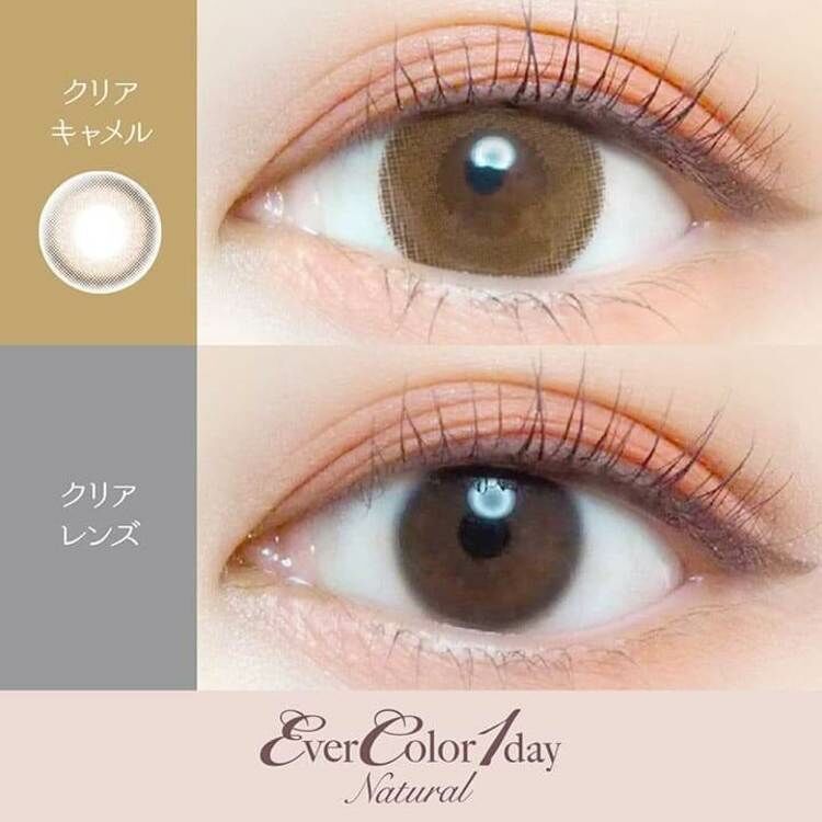 [20片]EverColor 1 Day  Natural クリアキャメル Clear Camel 有色日抛棄隱形眼鏡