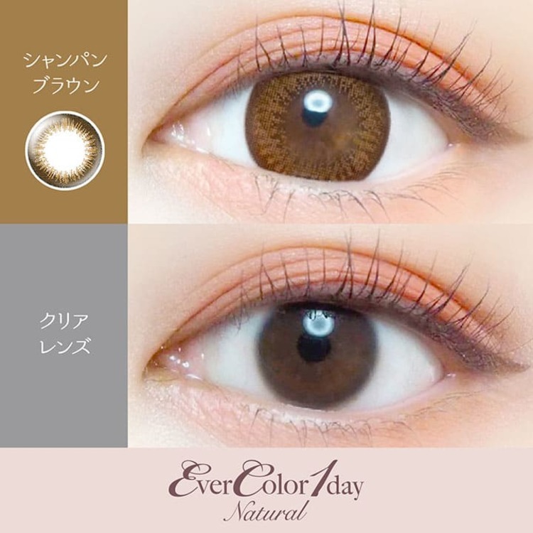 [20片]EverColor 1 Day Natural シャンパンブラウン Champagne Brown 有色日抛棄隱形眼鏡