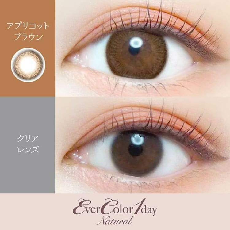 [20片]EverColor 1 Day Natural アプリコットブラウン Apricot Brown 有色日抛棄隱形眼鏡