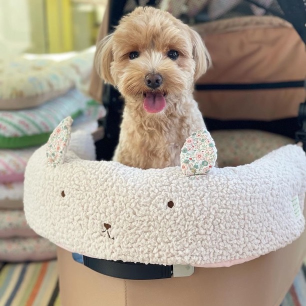 Oops My Dog 經典品牌兔兔推車三件組