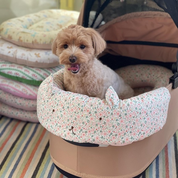 Oops My Dog 經典品牌兔兔推車三件組