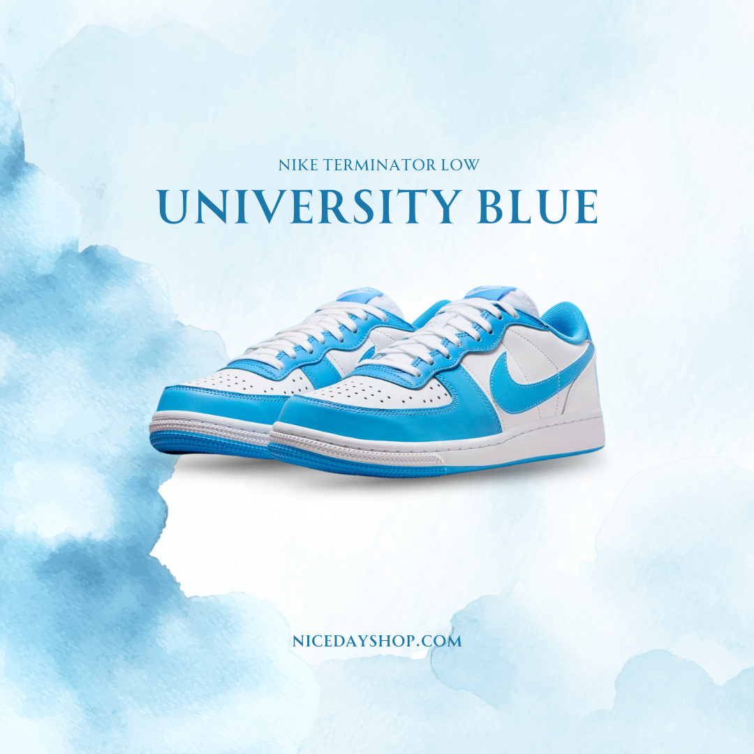 NICEDAY Nike Terminator Low University Blue FQ8748-412