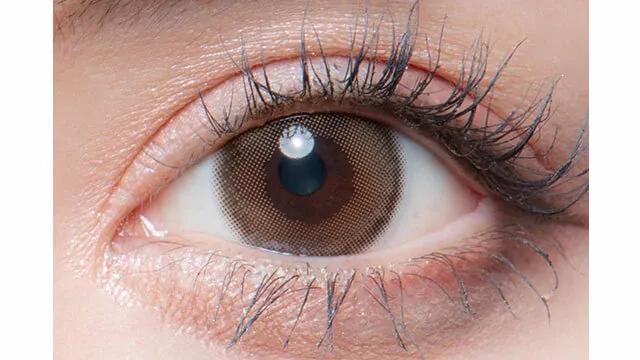 [月拋] Colors 1 month French Cruller 月拋棄型有色彩妝隱形眼鏡｜每盒3片