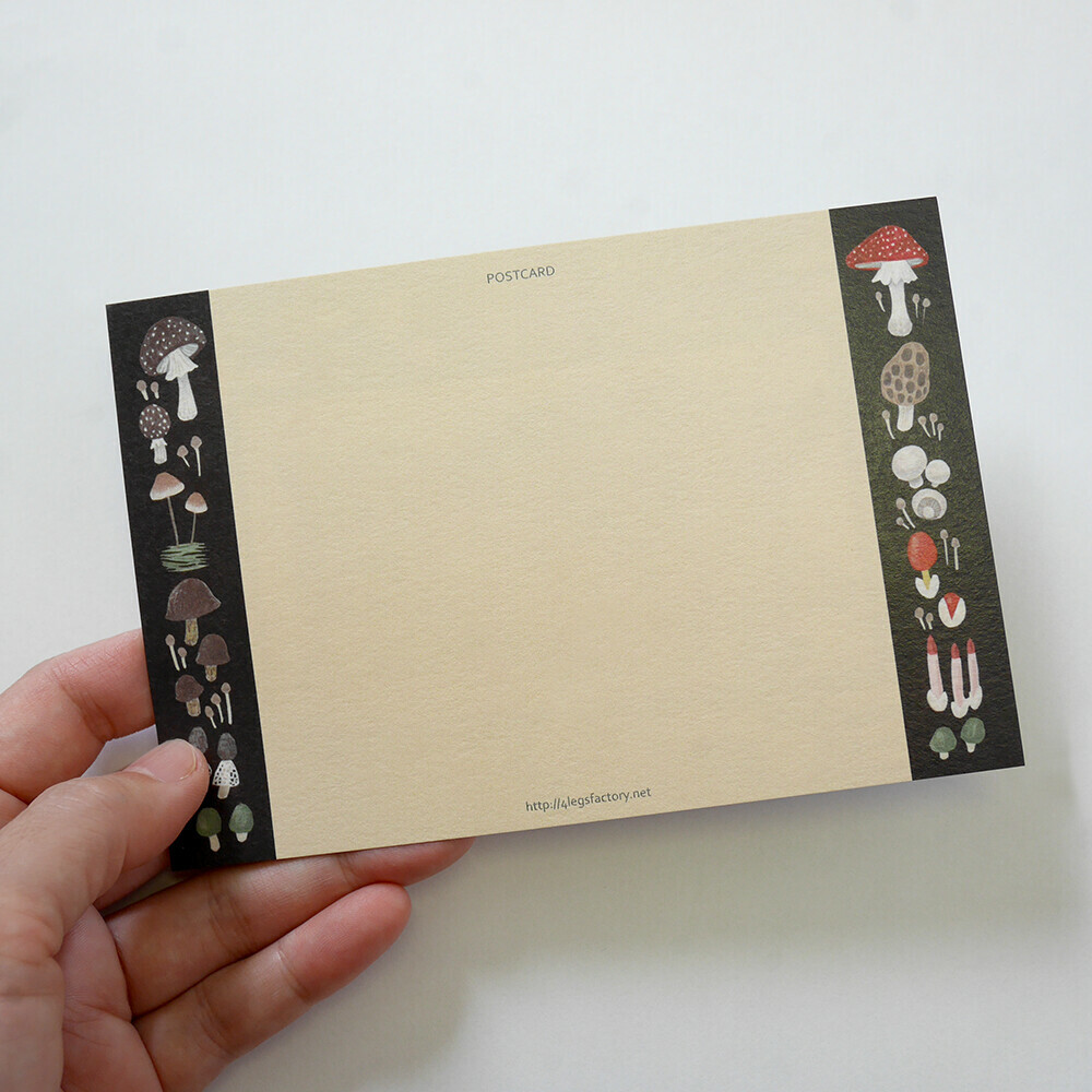 異國短毛貓 貓咪繪本明信片｜日本 4legs