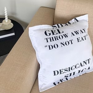《3126》搞怪創意乾燥劑靠枕抱枕