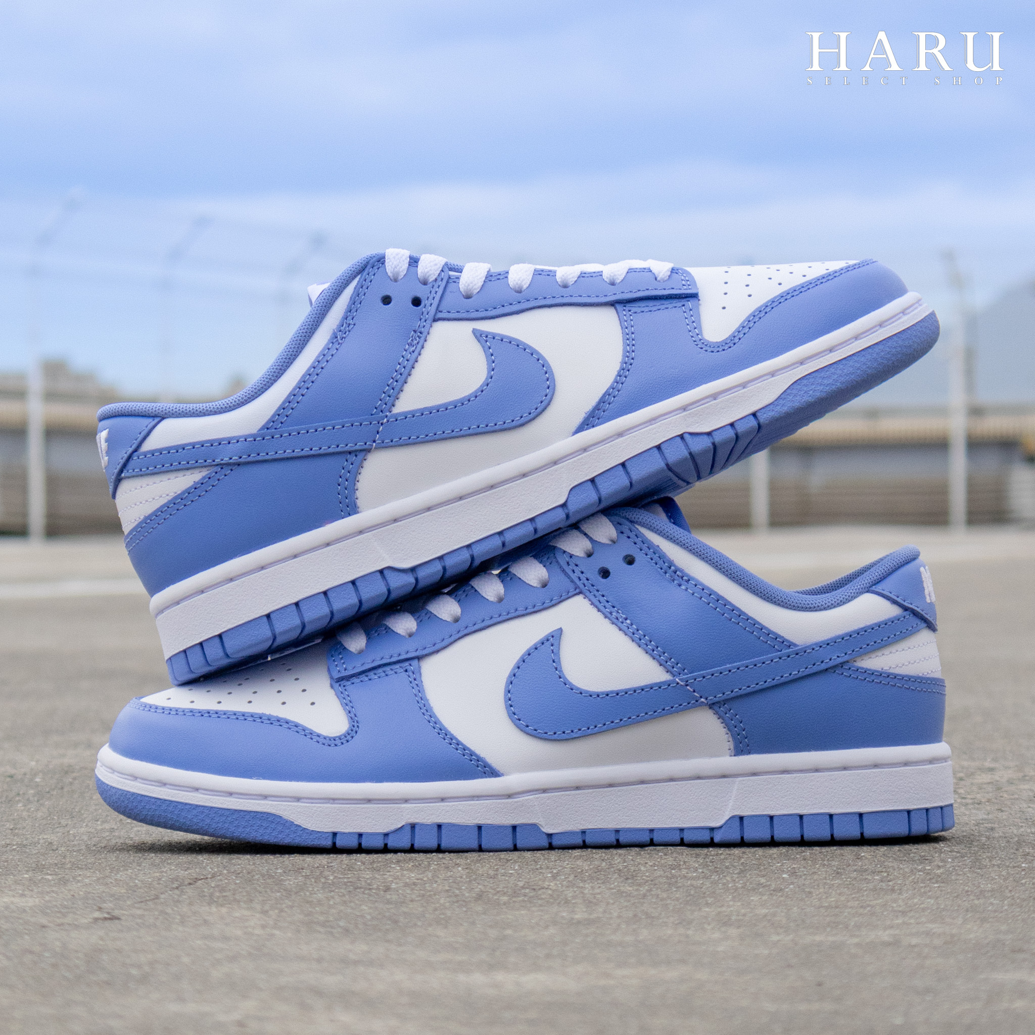 Nike Dunk Low “polar blue