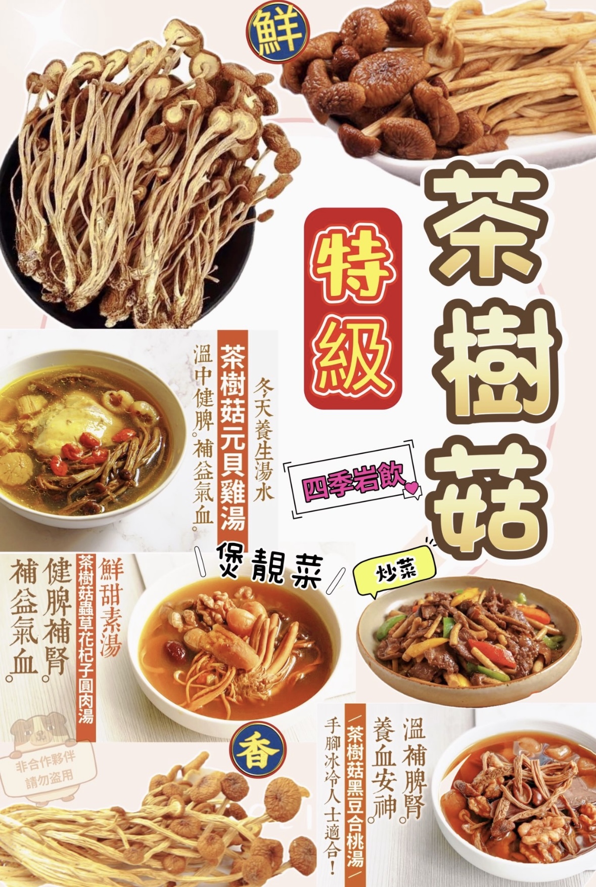 養生菇菌之茶樹菇