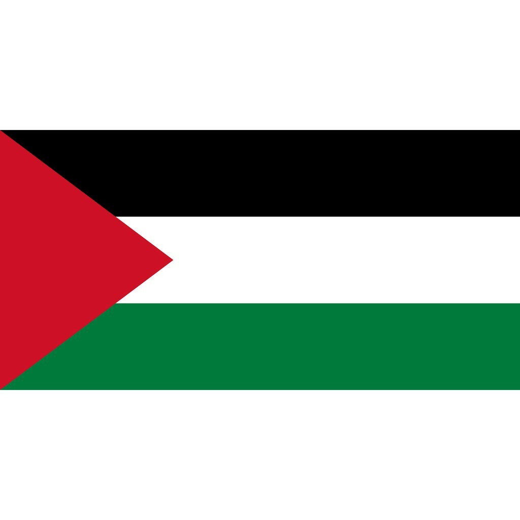 (Cotton / Polyster) 2x4ft / 3x6ft Palestine Flag *Ready Stock*
