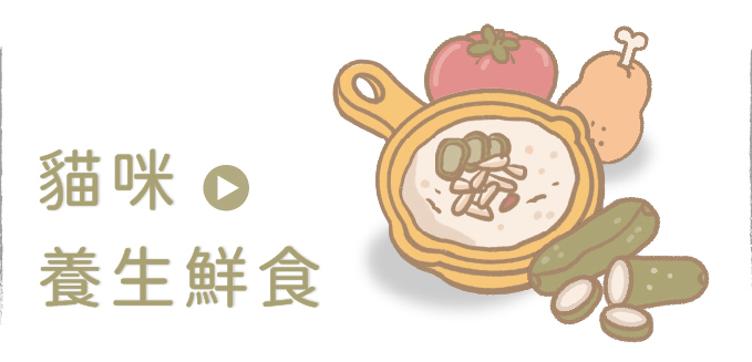 貓咪,貓鮮食,貓主食,貓罐頭,寵物