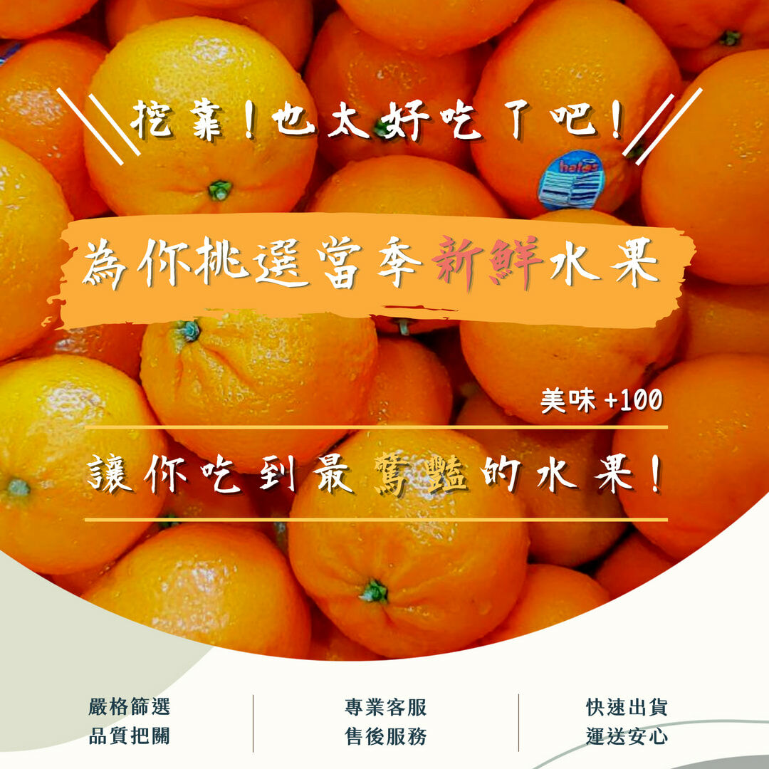 澳洲茂谷柑橘子