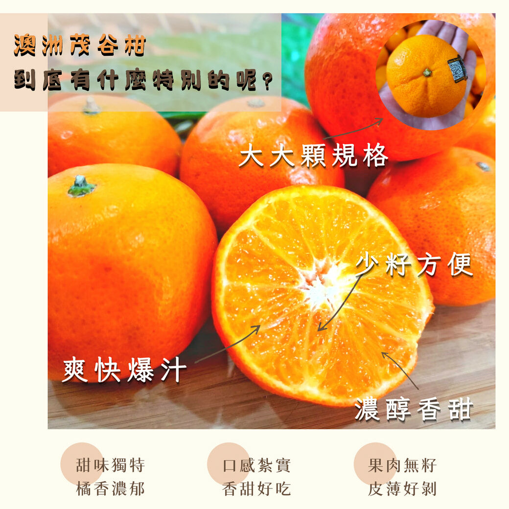 澳洲茂谷柑橘子