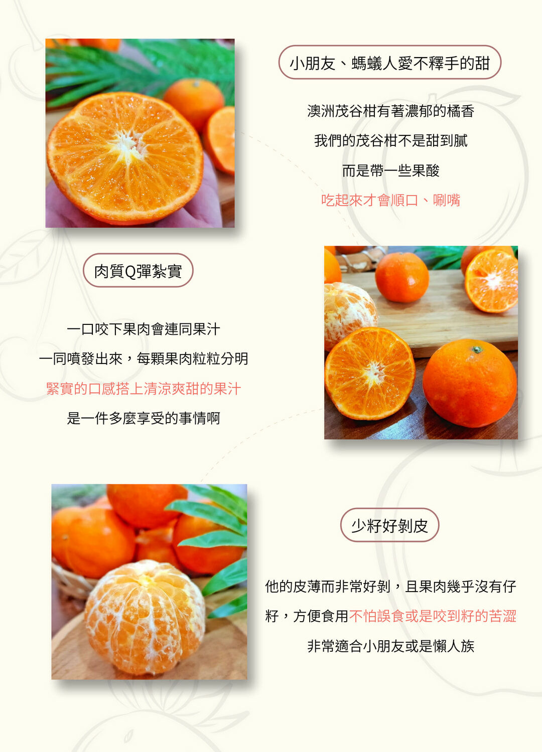 澳洲茂谷柑橘子