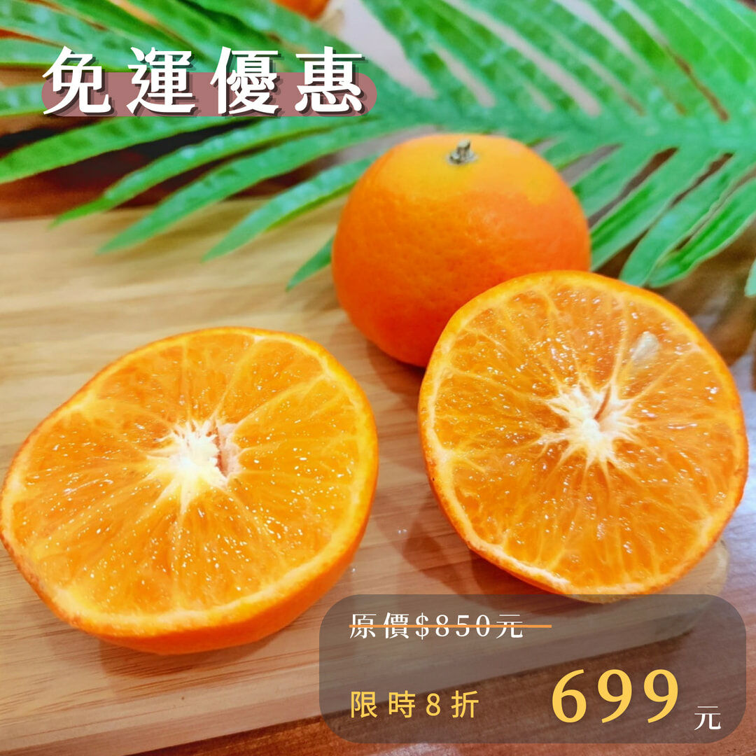 澳洲茂谷柑橘子