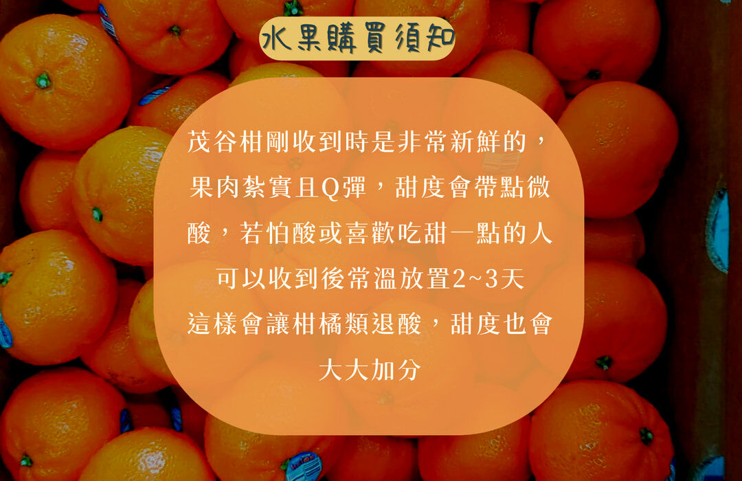 澳洲茂谷柑橘子