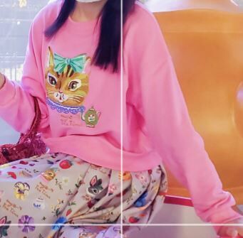 2023年秋季重磅卡通刺繡貓咪純棉圓領顯瘦長袖衛衣