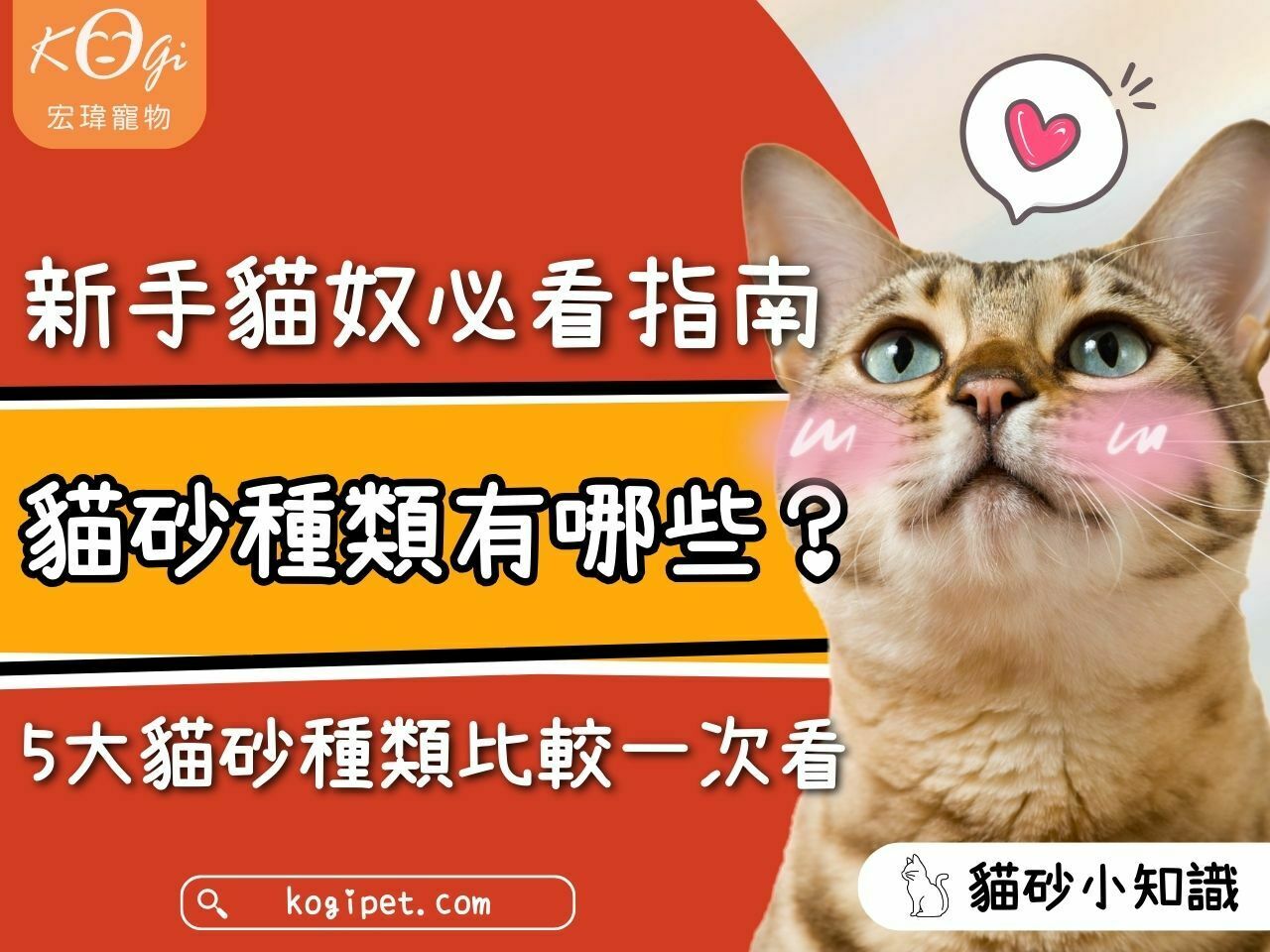 What types of cat litter are there?