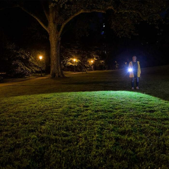 Ledlenser 手電筒 T7M