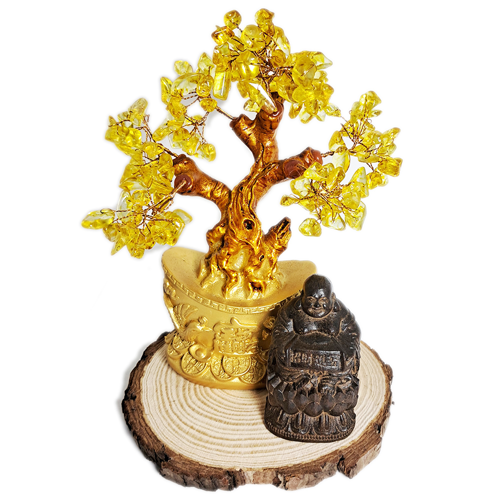 彌勒佛{土沉木}&發財樹 15公分【十方】152562