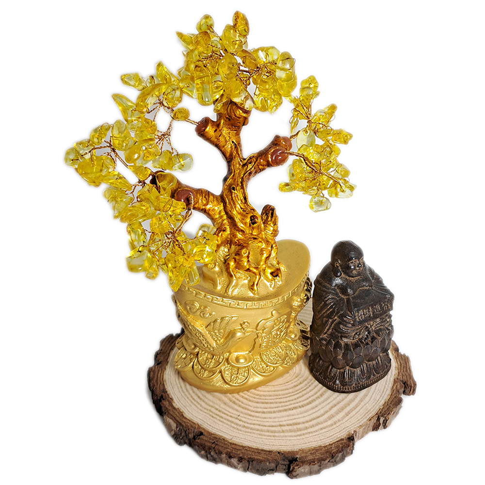 彌勒佛{土沉木}&發財樹 15公分【十方】152562