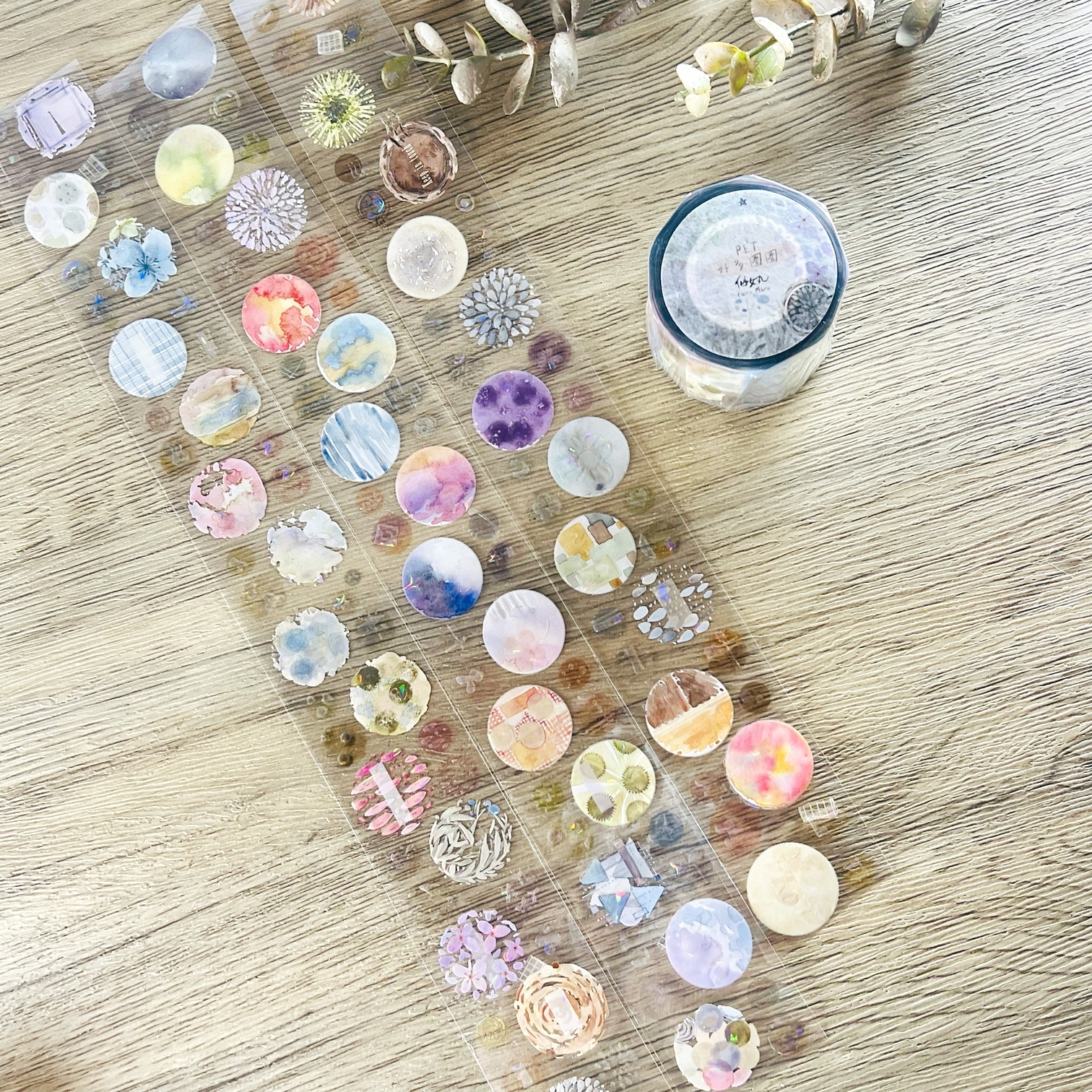 仙女丸Fairy Maru．好多圈圈 4cm貝殼光亮面PET膠帶 <整捲/分裝>