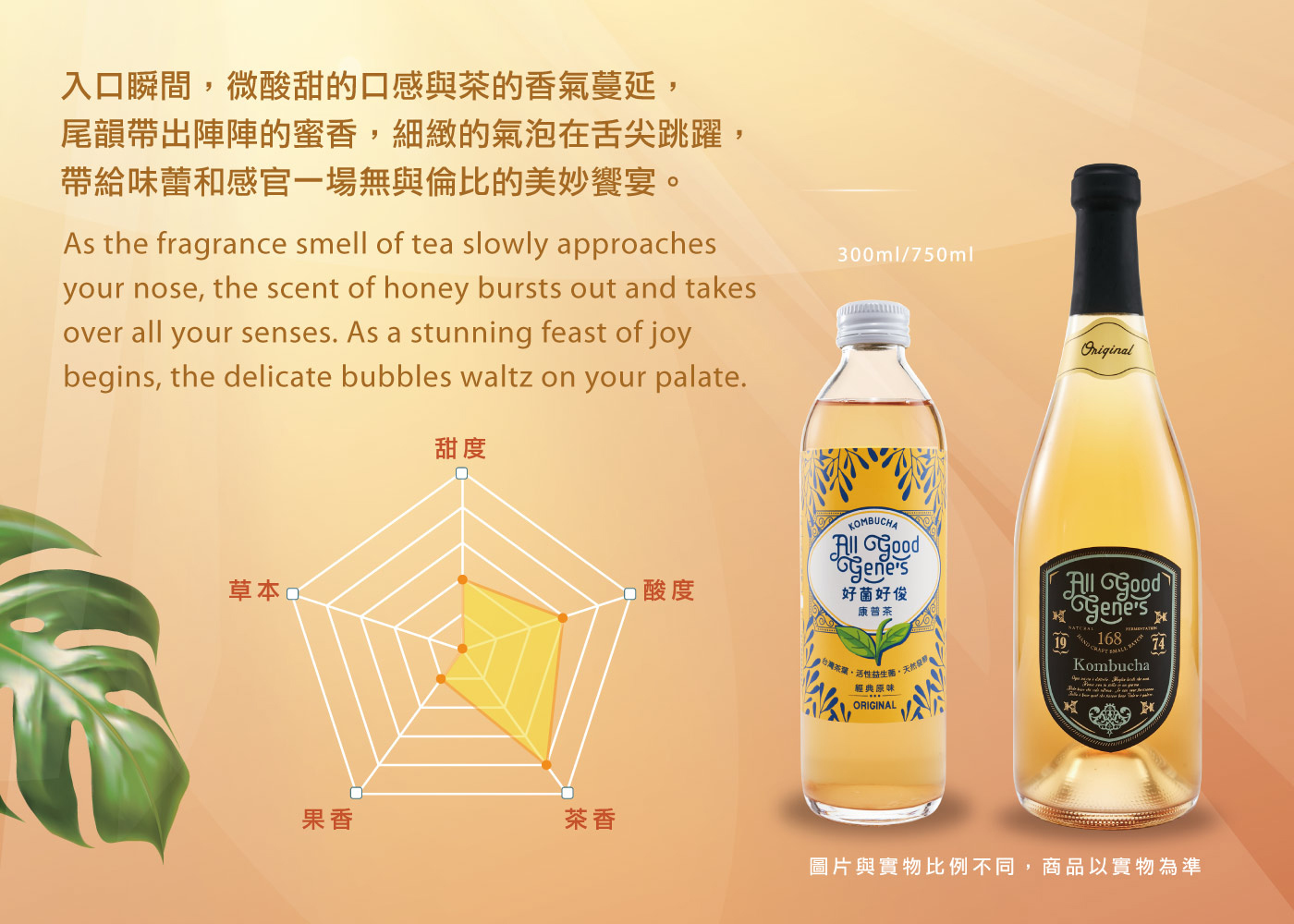 好菌好俊康普茶_原味_康普茶口味介紹